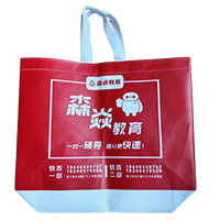 文山LB37培训班广告袋